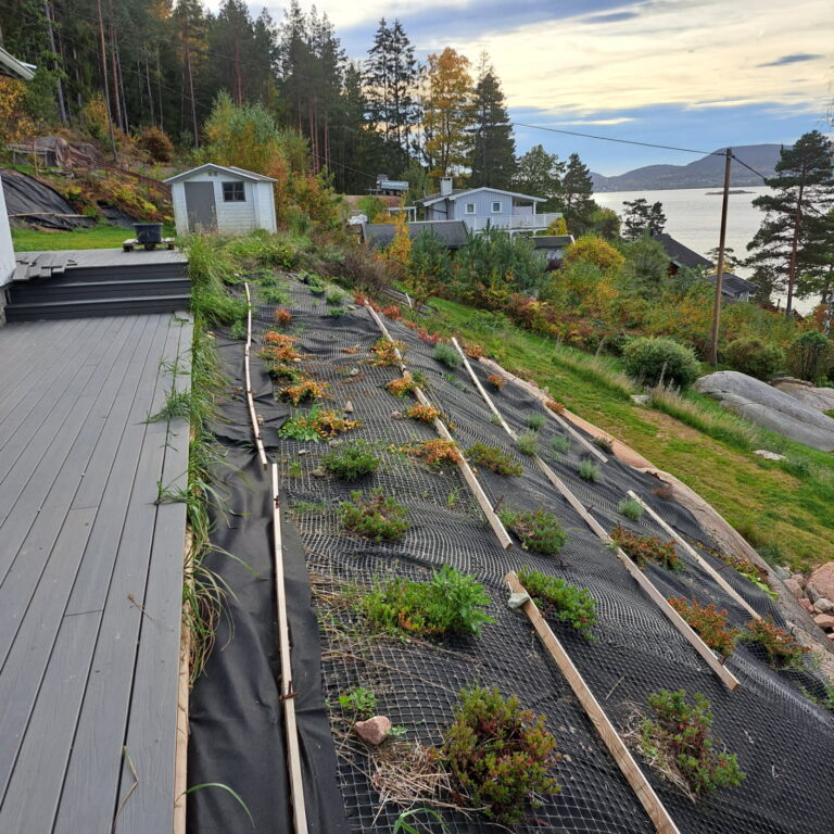 Skrånende terreng med beplantning langs en terrasse ved bolig